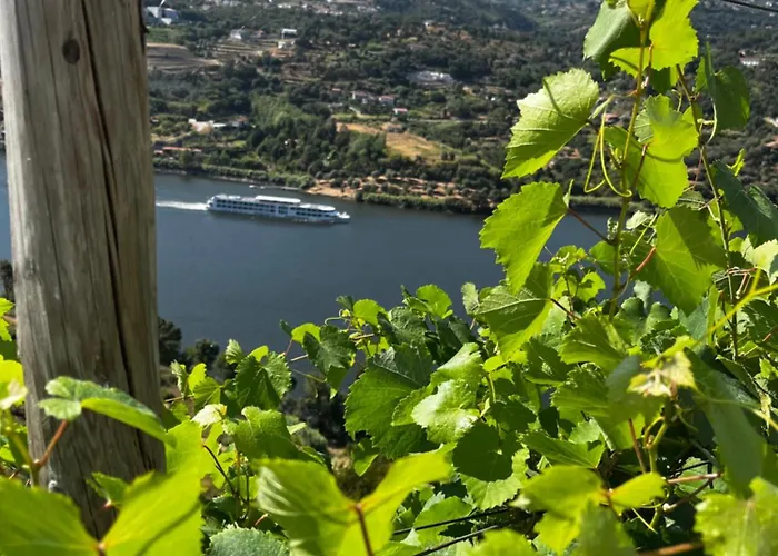 Douro Nest House Anreade